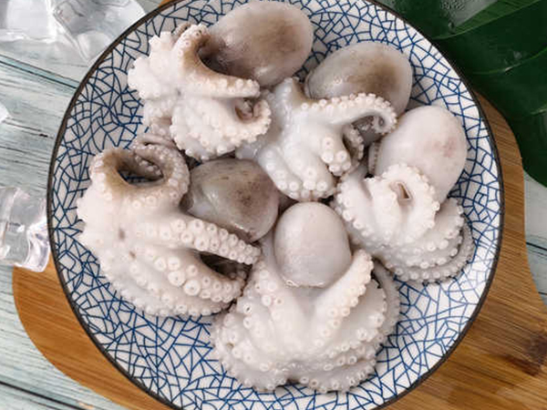 八爪鱼